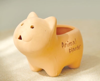 กระถางกระบองเพชร animal planter ตกแต่งสวน รูปที่ 5
