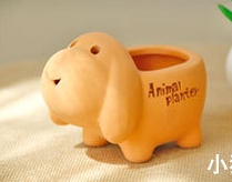 กระถางกระบองเพชร animal planter ตกแต่งสวน รูปที่ 6