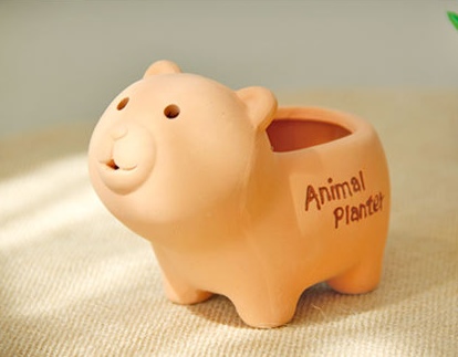 กระถางกระบองเพชร animal planter ตกแต่งสวน รูปที่ 3