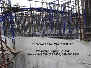แผ่นพีวีซีกันซึมรอยต่อคอนกรีต (PVC Waterstop), แผ่นยางกันซึมรอยต่อคอนกรีต (Rubber Waterstop) รูปที่ 8