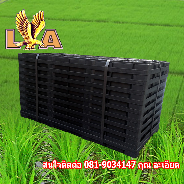 ขาย ถาดเพาะกล้า ข้าว สำหรับรถดำนา หรือเพาะต้นอ่อ่นทานตะวัน รูปที่ 2