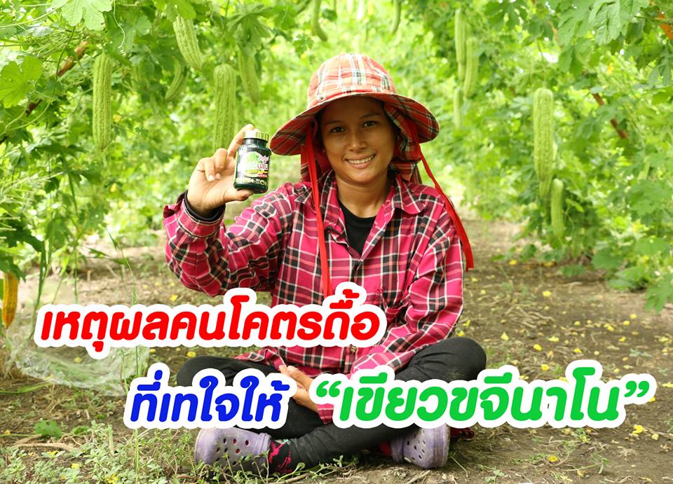 เขียวขจีนาโนตัวท็อป ชุดเล็ก ปกติ 4000 บาท ลดเหลือ 1900 บาท (20แคปซูล+น้ำ 1 ลิตร) รูปที่ 2