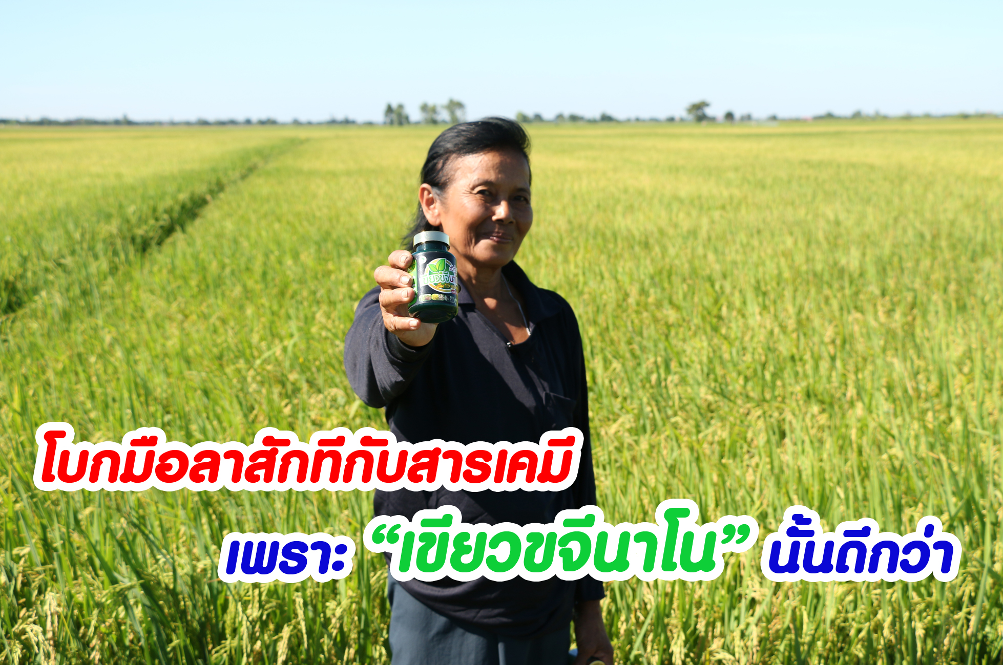 เขียวขจีนาโนตัวท็อป ชุดเล็ก 2 ชุด  แถมฟรี 1 ชุด (ปกติ 8,000 บาท ลดเหลือ 3800 บาท ) รูปที่ 2