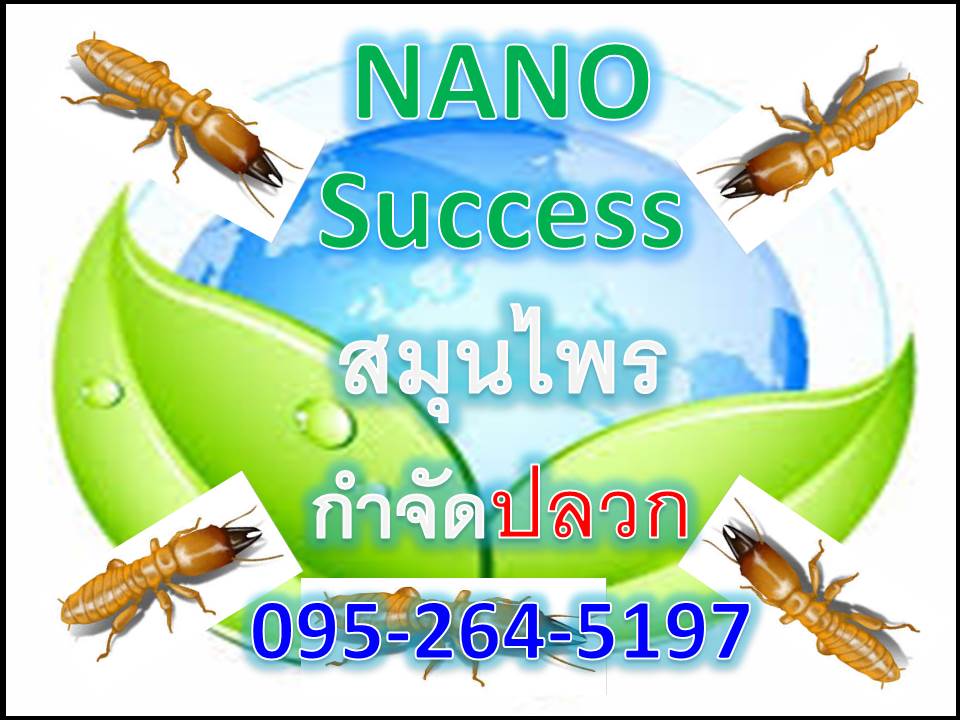 วิธีกำจัดปลวกไม่ใช้สารเคมีไม่มีกลิ่น โทร 0952645197 รูปที่ 1