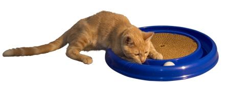 Bergan Turbo Scratcher Cat Toy ที่ข่วนเล็บแมวพร้อมลูกบอล ขนาด 16