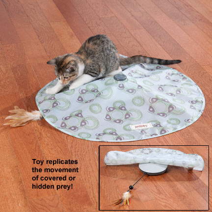 Mystery Motion Cat Toy จากอเมริกา รูปที่ 1
