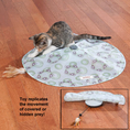 Mystery Motion Cat Toy จากอเมริกา
