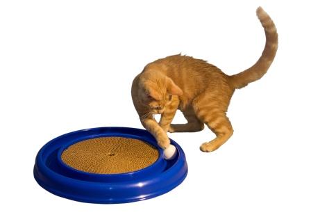Bergan Turbo Scratcher Cat Toy ที่ข่วนเล็บแมวพร้อมลูกบอล ขนาด 16