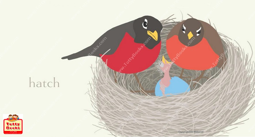 (Age 1 - 5) หนังสือบอร์ดบุ๊ก กระดาษหนา Nest (Jorey Hurley, Board Book) รูปที่ 4