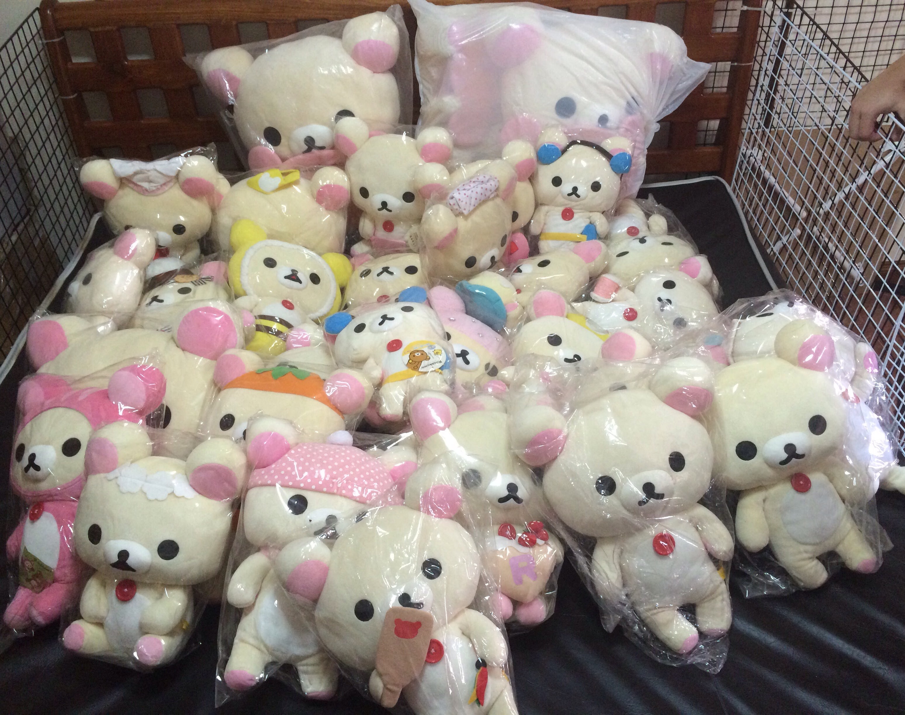 ขายเหมาตุ๊กตา Korilakkuma ของแท้ รูปที่ 3