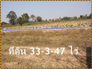 ขายที่ดิน  33 ไร่ 3 งาน 47 ตารางวา ต.สระพระ อ.โนนไทย กิ่งอำเภอพระทองคำ จังหวัดนครราชสีมา ถึงเจ้าของที่ดิน และที่ดินเป็นโฉนด รูปที่ 1