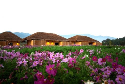 จองห้องพัก สวีท เมมโมรี่ แอทปาย ที่พักปาย ท่ามกลางธรรมชาติแห่งขุนเขา รูปที่ 5