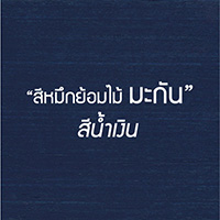 สีย้อมไม้ เฟอร์นิเจอร์ ตรา มะกัน (MACAN)--- เหมาะสำหรับย้อมเฟอร์นิเจอร์ สีสันสวยสด ติดทนนาน รูปที่ 12
