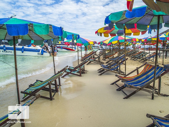 ยอดนิยม!! ทัวร์เกาะพีพี-เกาะไข่ ดำน้ำดูปะการัง เที่ยวอ่าวมาหยา | PaiPhuket.com รูปที่ 8