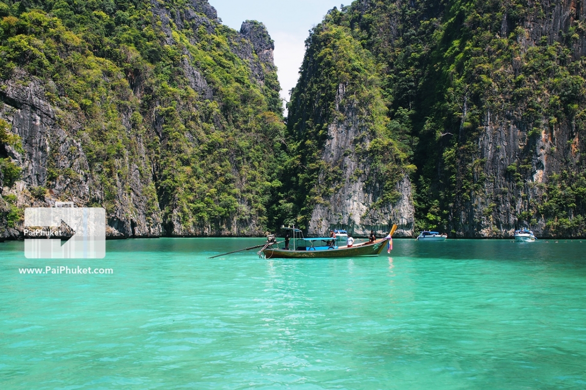 ยอดนิยม!! ทัวร์เกาะพีพี-เกาะไข่ ดำน้ำดูปะการัง เที่ยวอ่าวมาหยา | PaiPhuket.com รูปที่ 10