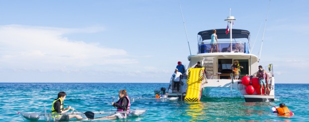 ทัวร์เกาะไม้ท่อน-เกาะราชา Power Catamaran รูปที่ 5