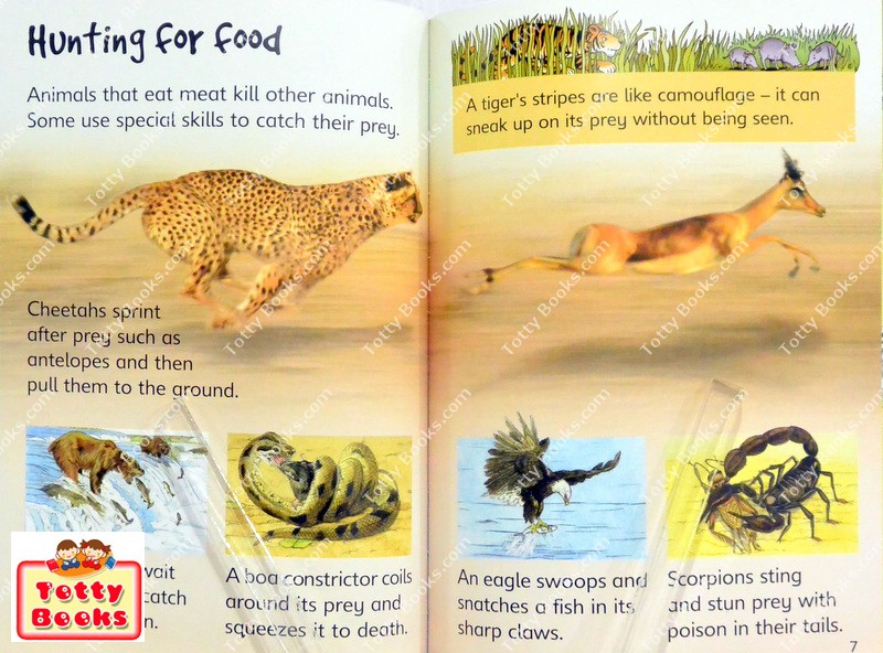(Age 3 - 12) ดีมากๆ! ชุดฝึกอ่าน เสริมความรู้ชีวิตสัตว์ 20 เล่ม Usborne Beginners Animal Collection (20 Books) รูปที่ 6