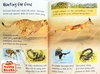 รูปย่อ (Age 3 - 12) ดีมากๆ! ชุดฝึกอ่าน เสริมความรู้ชีวิตสัตว์ 20 เล่ม Usborne Beginners Animal Collection (20 Books) รูปที่5