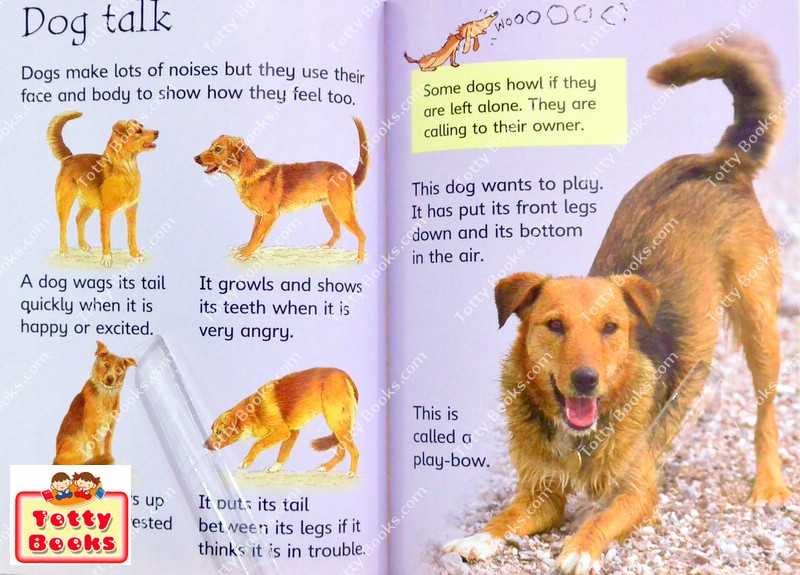(Age 3 - 12) ดีมากๆ! ชุดฝึกอ่าน เสริมความรู้ชีวิตสัตว์ 20 เล่ม Usborne Beginners Animal Collection (20 Books) รูปที่ 4