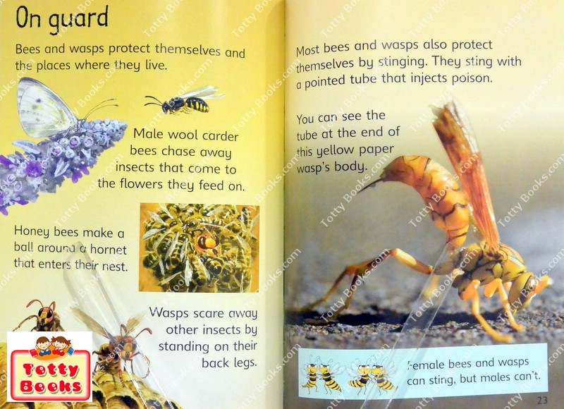 (Age 3 - 12) ดีมากๆ! ชุดฝึกอ่าน เสริมความรู้ชีวิตสัตว์ 20 เล่ม Usborne Beginners Animal Collection (20 Books) รูปที่ 7