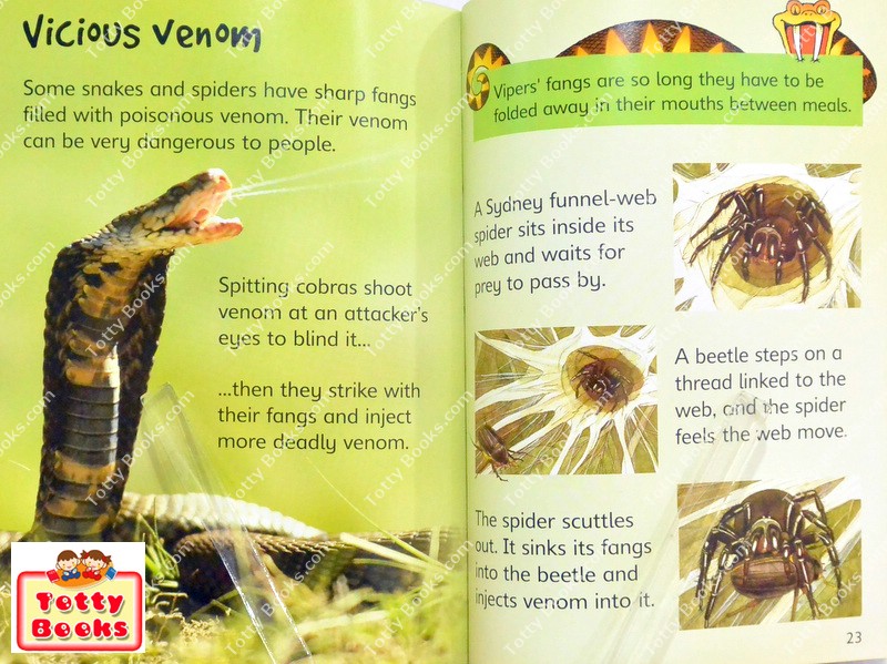 (Age 3 - 12) ดีมากๆ! ชุดฝึกอ่าน เสริมความรู้ชีวิตสัตว์ 20 เล่ม Usborne Beginners Animal Collection (20 Books) รูปที่ 5
