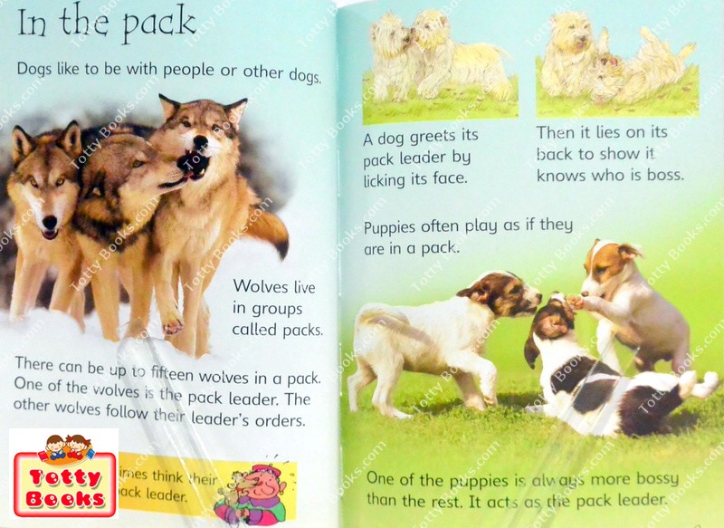 (Age 3 - 12) ดีมากๆ! ชุดฝึกอ่าน เสริมความรู้ชีวิตสัตว์ 20 เล่ม Usborne Beginners Animal Collection (20 Books) รูปที่ 3