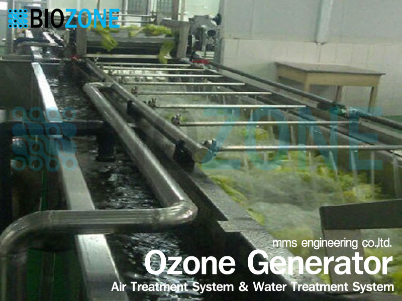 Biozone เครื่องผลิตโอโซนในงานอุตสาหกรรมด้านต่างๆเช่นบำบัดน้ำเสีย,บำบัดกลิ่น,บำบัดสี,ระบบน้ำดื่ม,ฆ่าเชื้อโรค,ไร้สารตกค้าง รูปที่ 4