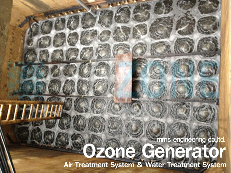 Biozone เครื่องผลิตโอโซนในงานอุตสาหกรรมด้านต่างๆเช่นบำบัดน้ำเสีย,บำบัดกลิ่น,บำบัดสี,ระบบน้ำดื่ม,ฆ่าเชื้อโรค,ไร้สารตกค้าง รูปที่ 3