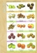 รูปย่อ จำหน่ายโมเดลผักและผลไม้ และชุดผักผลไม้โมเดลเพื่อสื่อการเรียนการสอน รูปที่3