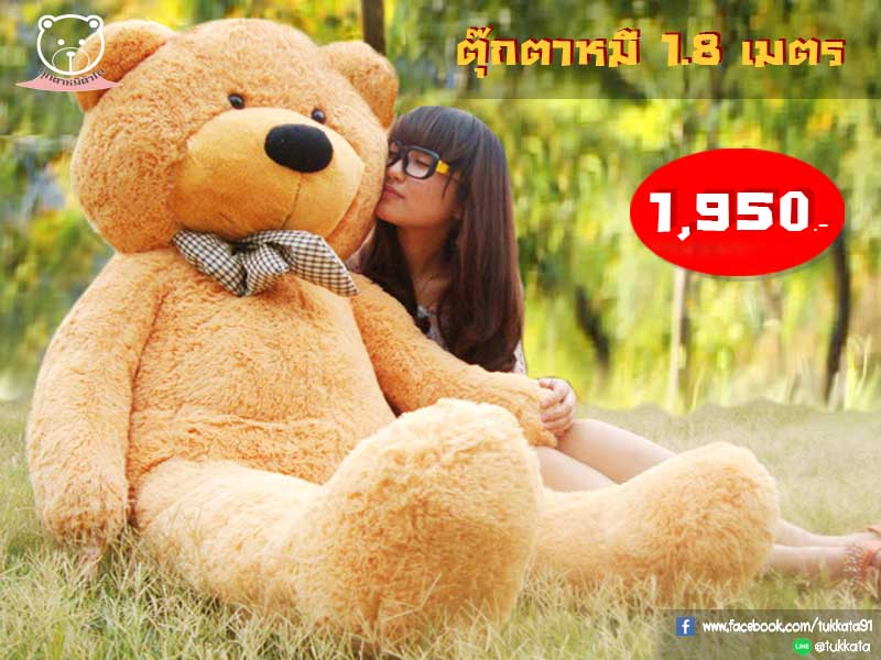 ตุ๊กตาหมีตัวโต ขายตุ๊กตาหมีตัวโตคุณภาพดี ขนนุ่ม ราคาถูกที่สุด !!  รูปที่ 3