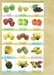 รูปย่อ จำหน่ายโมเดลผักและผลไม้ และชุดผักผลไม้โมเดลเพื่อสื่อการเรียนการสอน รูปที่2