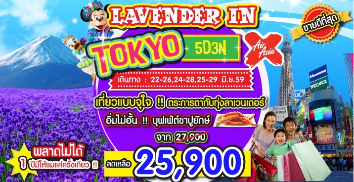 ทัวร์ญี่ปุ่น  5 วัน 3 คืน LAVENDER IN TOKYO บิน XJ ลดราคาเหลือ 25900 จองด่วน รูปที่ 1