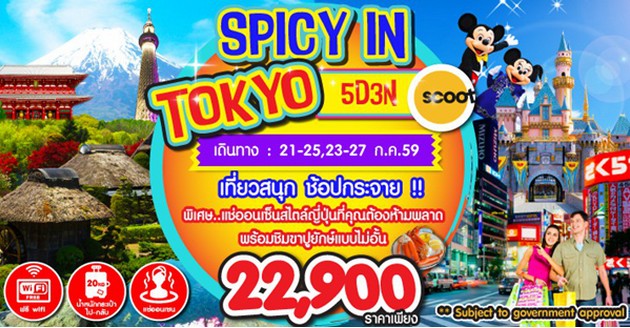 ทัวร์ญี่ปุ่น ปรับราคา SPICY IN TOKYO 5D3N (TZ)เหลือ 22900 จองด่วนนนนน รูปที่ 1