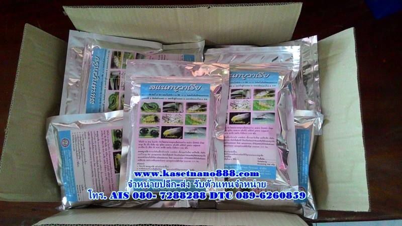 สแนท บูวาเรีย ( Snat buvaria )หัวเชื้อจุลินทรีย์ สายพันธุ์ไทย ใช้ป้องกัน และกำจัดแมลงศัตรูพืช บรรจุ 500กรัม ผสมน้ำได้ 200 ลิตร รูปที่ 7