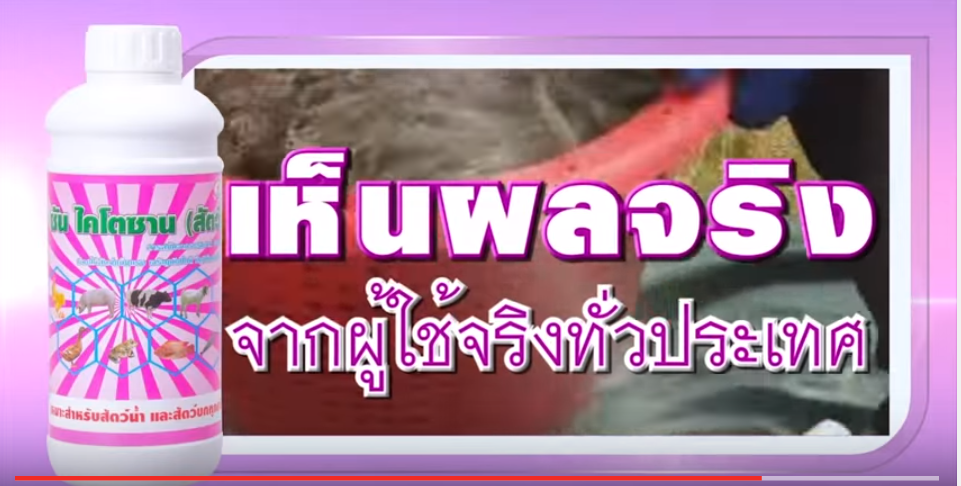 สุดยอดอาหารเสริมสำหรับสัตว์ทุกชนิด ซันไคโตซานสัตว์ รูปที่ 12