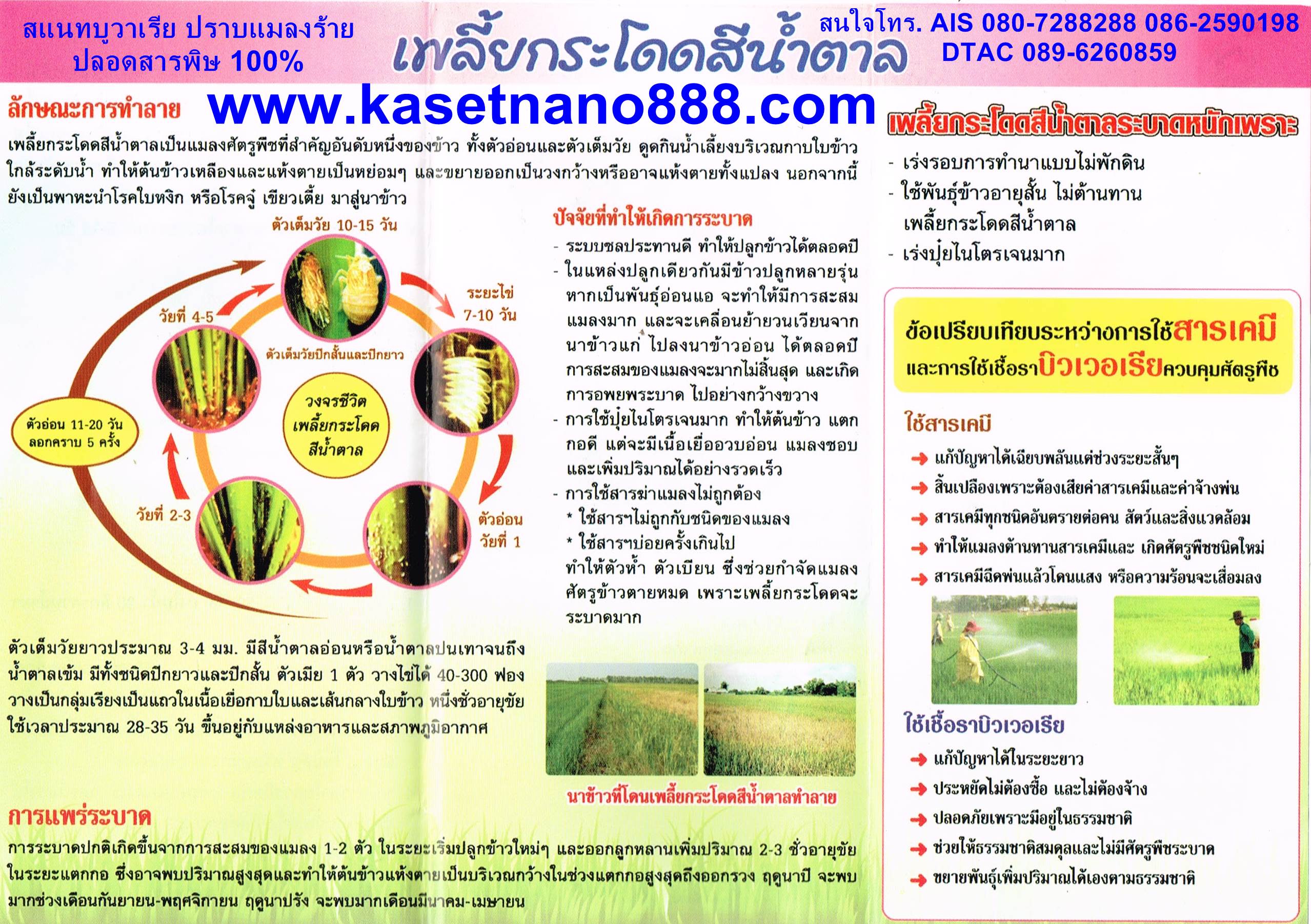 สแนท บูวาเรีย ( Snat buvaria )หัวเชื้อจุลินทรีย์ สายพันธุ์ไทย ใช้ป้องกัน และกำจัดแมลงศัตรูพืช บรรจุ 500กรัม ผสมน้ำได้ 200 ลิตร รูปที่ 9