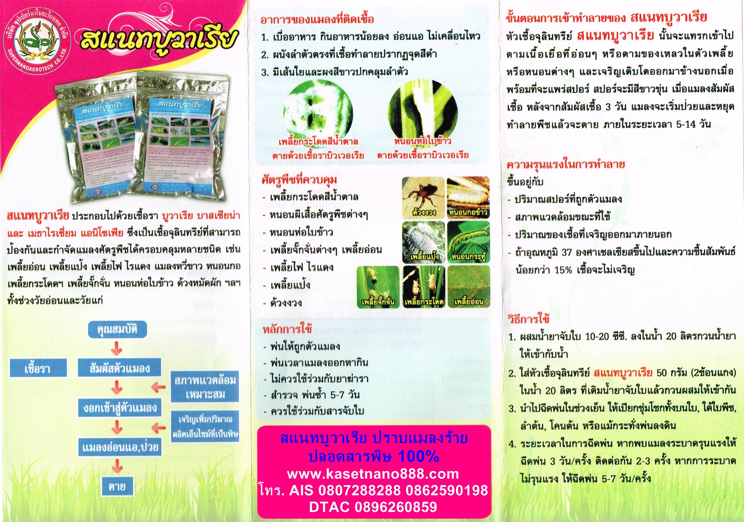 สแนท บูวาเรีย ( Snat buvaria )หัวเชื้อจุลินทรีย์ สายพันธุ์ไทย ใช้ป้องกัน และกำจัดแมลงศัตรูพืช บรรจุ 500กรัม ผสมน้ำได้ 200 ลิตร รูปที่ 8