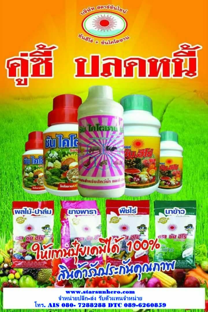 ซุปเปอร์ซันฮีโร่ ซันไดโตซาน คู่ซี้ปลดหนี้เกษตรกรไทย ลดต้นทุน เพิ่มผลผลิต ปลอดสารพิษ รายการดาวเทียม ช่อง HERO CHANAL และ PING CHANAL รูปที่ 2