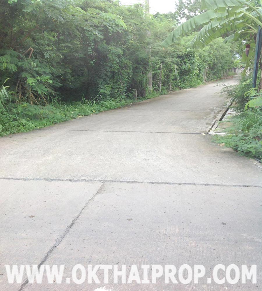 ที่ดิน เนื้อที่ 176 ตรว. นครชัยศรี นครปฐม รูปที่ 4