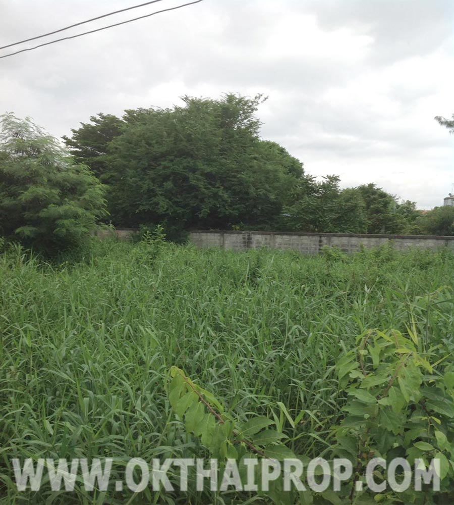 ที่ดิน เนื้อที่ 176 ตรว. นครชัยศรี นครปฐม รูปที่ 3