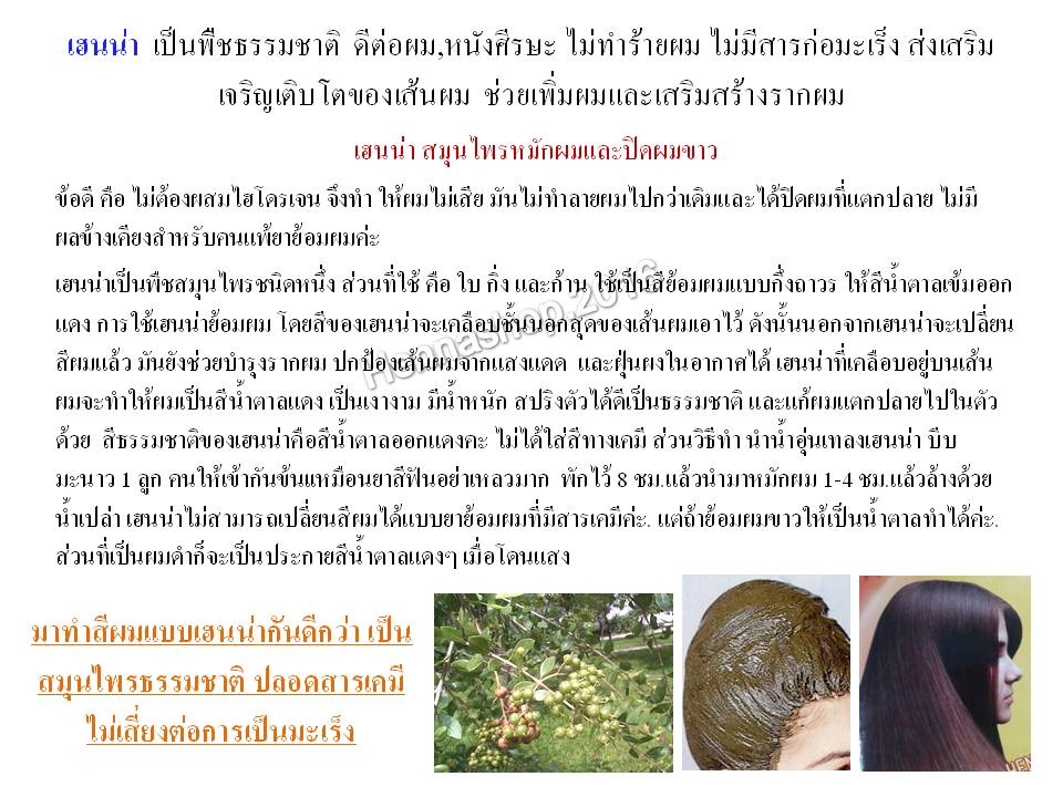 เฮนน่าสมุนไพรสำหรับย้อมผมและปิดผมขาว.  (เฮนน่าพลัส) รูปที่ 2