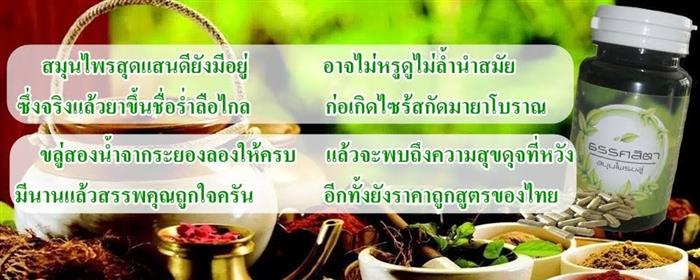 สมุนไพรขลู่ธรรศสิตาช่วย ลดเบาหวาน ลดความดัน ลดไขมัน ลดน้ำหนัก รูปที่ 1