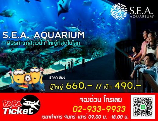 บัตรเข้าชมพิพิธภัณฑ์สัตว์น้ำ (อควาเรียม) S.E.A. Aquarium รูปที่ 1
