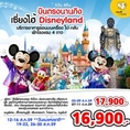 ทัวร์จีน เที่ยวจีน บินตรงนานกิง เซี่ยงไฮ้ Disneyland 5 วัน 4 คืน