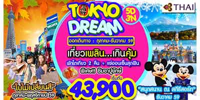 ทัวร์ญี่ปุ่น TOKYO  DREAM 5D3N BY TG สัมผัสบรรยากาศอันสวยงามของใบไม้เปลี่ยนสี เริ่ม 43,900 บาท รูปที่ 1