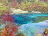 รูปย่อ ทัวร์จิ่วจ้ายโกว สวรรค์บนดิน 4วัน3คืน  ราคา 17,771 บาท รูปที่4