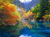 รูปย่อ ทัวร์จิ่วจ้ายโกว สวรรค์บนดิน 4วัน3คืน  ราคา 17,771 บาท รูปที่1