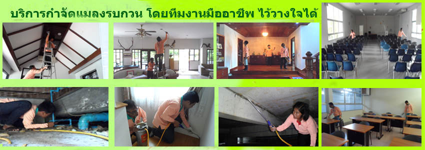 กำจัดปลวก เนเจอร์เฮิร์บ สมุนไพร สารสกัดธรรมชาติ- รูปที่ 2