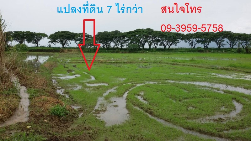 ขายที่ดินมีโฉนดติดสนามบินแม่ฟ้าหลวง จ.เชียงราย จำนวน 7 ไร่เศษ รูปที่ 1