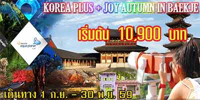 ทัวร์เกาหลี Seoul & Beakje KOREA PLUS + JOY AUTUMN IN BAEKJE 5D3N โปรโมชั่นสุดพิเศษ ลด 3,000 บาท รูปที่ 1